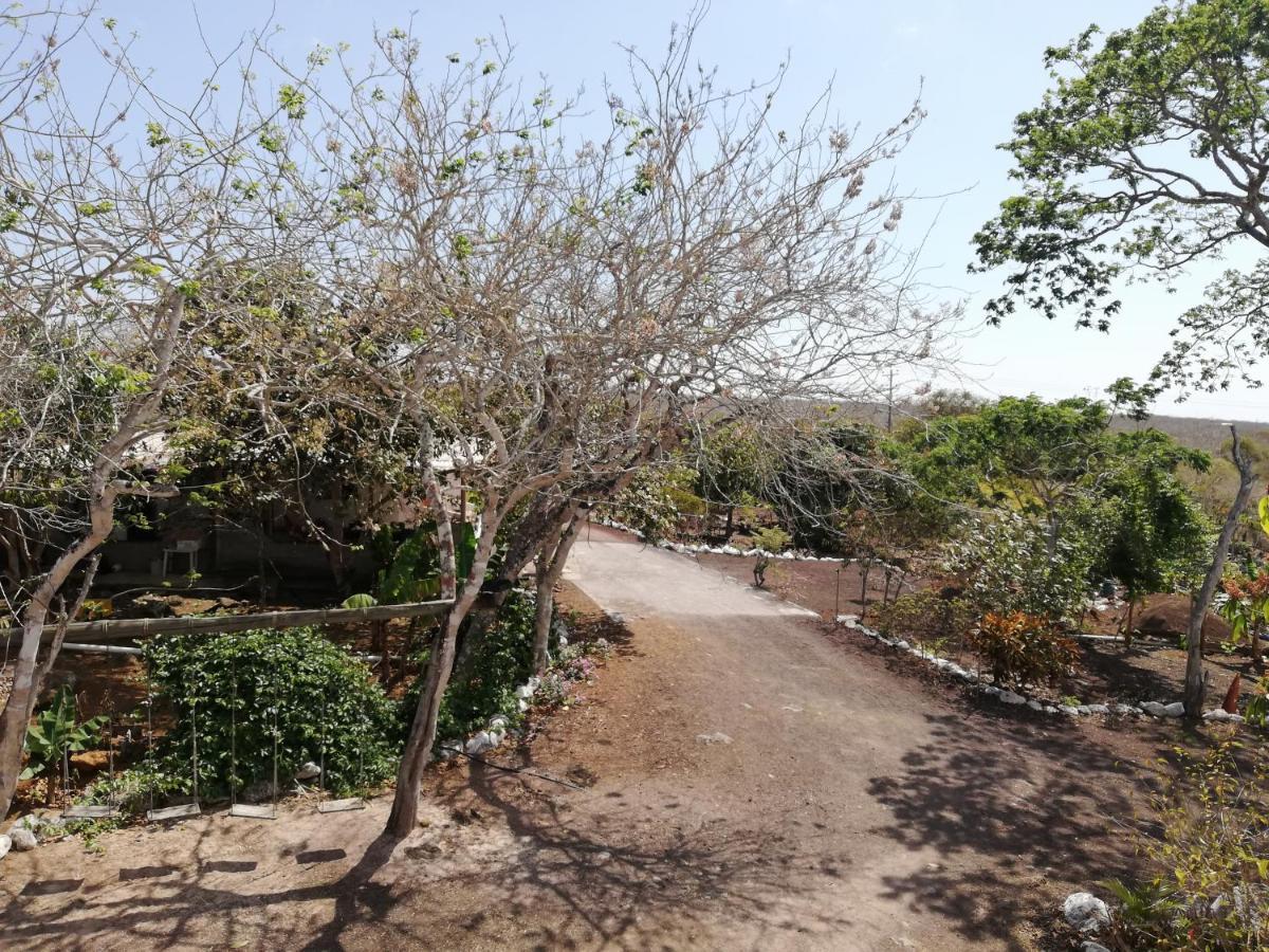 Cucuve Eco Hostal Puerto Baquerizo Moreno Zewnętrze zdjęcie
