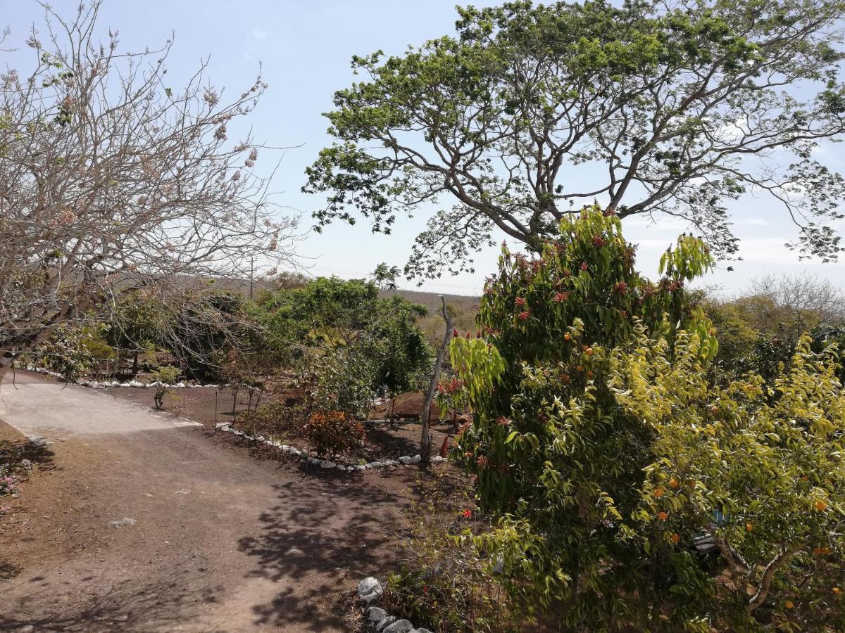 Cucuve Eco Hostal Puerto Baquerizo Moreno Zewnętrze zdjęcie