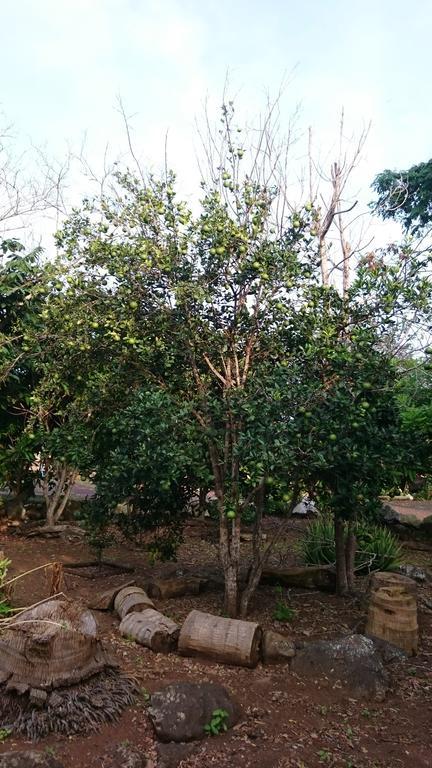 Cucuve Eco Hostal Puerto Baquerizo Moreno Zewnętrze zdjęcie