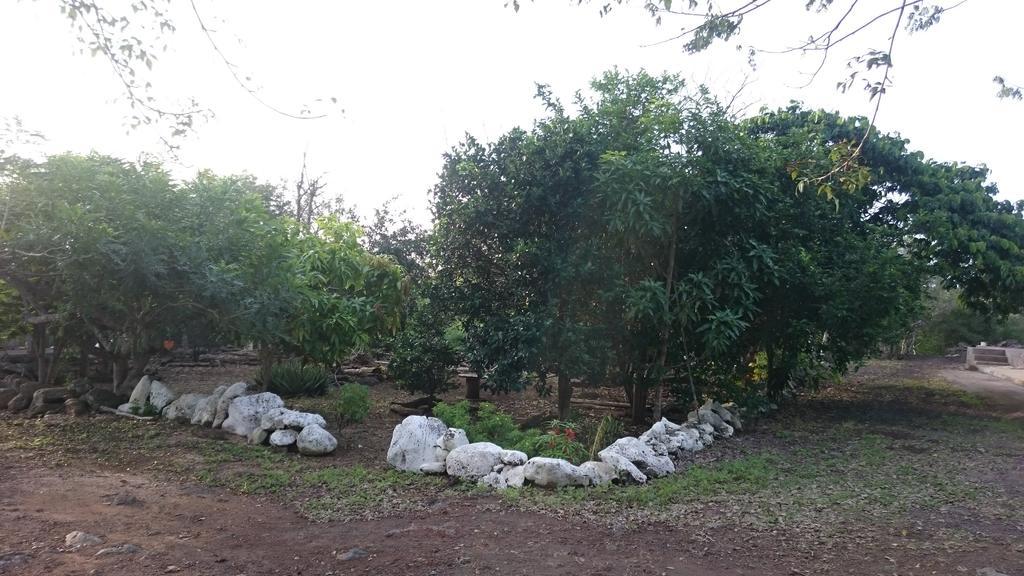Cucuve Eco Hostal Puerto Baquerizo Moreno Zewnętrze zdjęcie