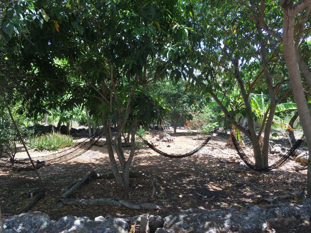 Cucuve Eco Hostal Puerto Baquerizo Moreno Zewnętrze zdjęcie