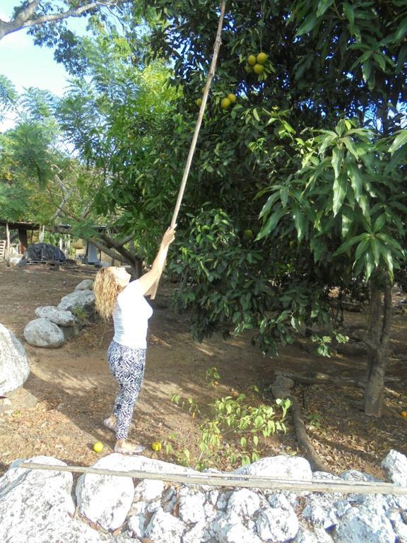 Cucuve Eco Hostal Puerto Baquerizo Moreno Zewnętrze zdjęcie